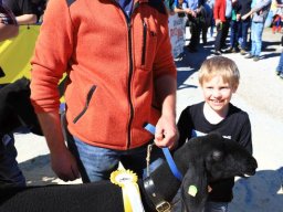 2019_ausstellung polling_368